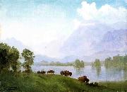 Albert Bierstadt Buffalo Country France oil painting artist